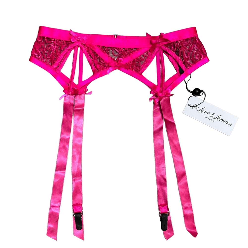 For Love & Lemons Soutache Hot Pink Embroidered Garter Panties NWT - Picture 2 of 11
